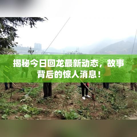 阳春白雪 第8页