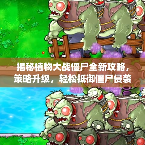 揭秘植物大战僵尸全新攻略,策略升级,轻松抵御僵尸侵袭!