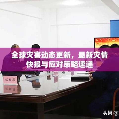 全球灾害动态更新，最新灾情快报与应对策略速递