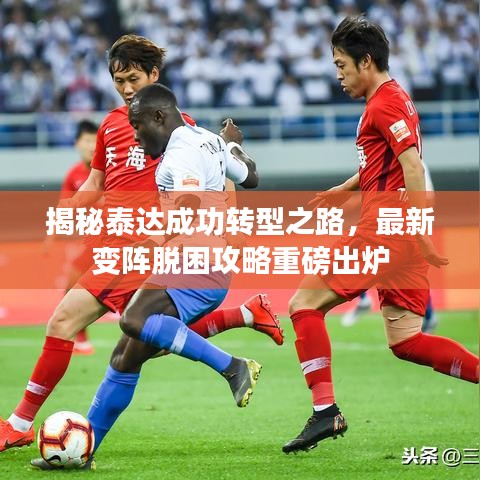 揭秘泰达成功转型之路，最新变阵脱困攻略重磅出炉