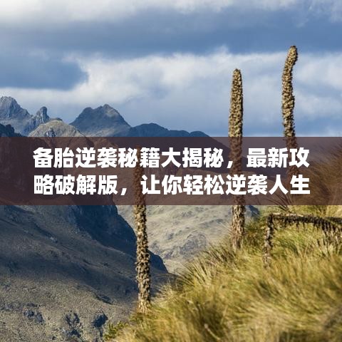 备胎逆袭秘籍大揭秘，最新攻略破解版，让你轻松逆袭人生！