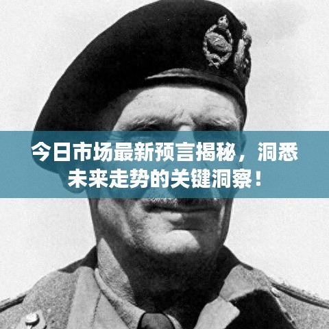 今日市场最新预言揭秘，洞悉未来走势的关键洞察！