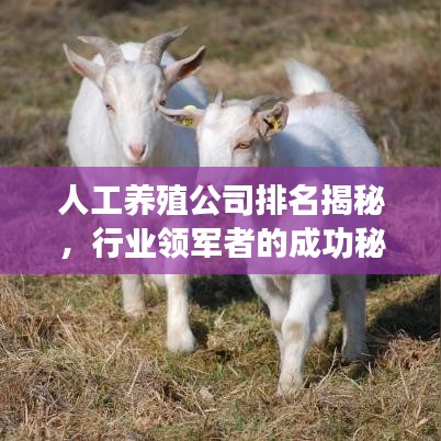 人工养殖公司排名揭秘，行业领军者的成功秘诀与启示