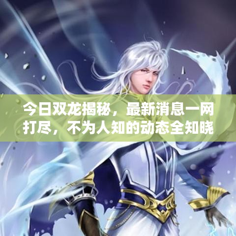 今日双龙揭秘，最新消息一网打尽，不为人知的动态全知晓