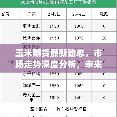 玉米期货最新动态，市场走势深度分析，未来趋势预测报告