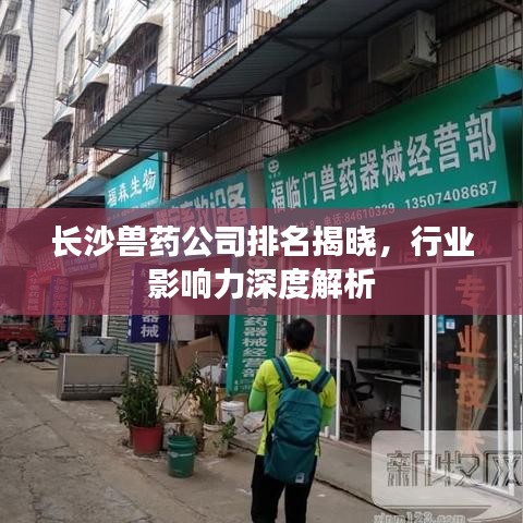 长沙兽药公司排名揭晓，行业影响力深度解析