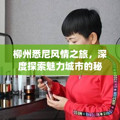 柳州悉尼风情之旅，深度探索魅力城市的秘密攻略