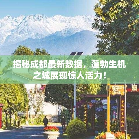 揭秘成都最新数据，蓬勃生机之城展现惊人活力！