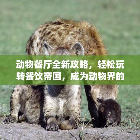 动物餐厅全新攻略，轻松玩转餐饮帝国，成为动物界的餐饮霸主！