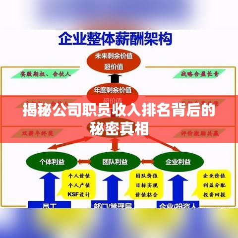 揭秘公司职员收入排名背后的秘密真相