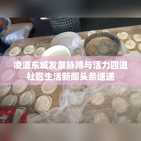凌源东城发展脉搏与活力四溢社区生活新闻头条速递