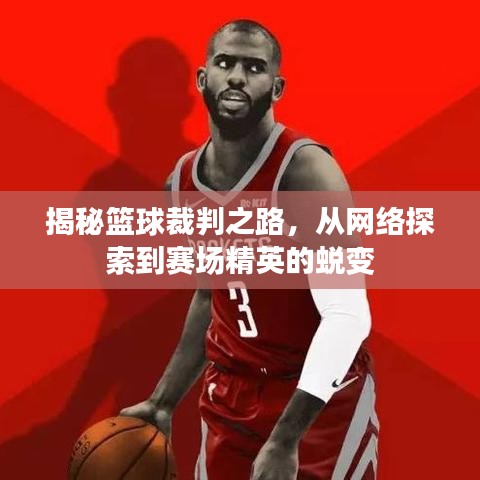 揭秘篮球裁判之路，从网络探索到赛场精英的蜕变