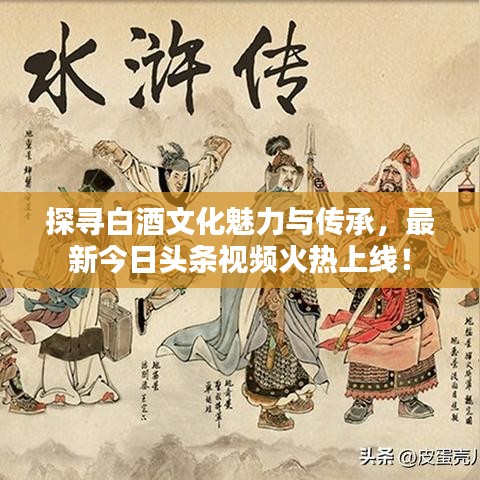 探寻白酒文化魅力与传承，最新今日头条视频火热上线！