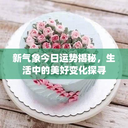 新气象今日运势揭秘，生活中的美好变化探寻