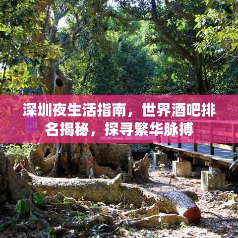 深圳夜生活指南,世界酒吧排名揭秘,探寻繁华脉搏