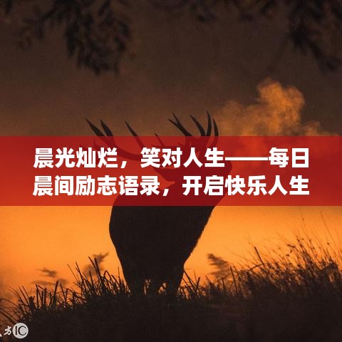 晨光灿烂，笑对人生——每日晨间励志语录，开启快乐人生之旅！