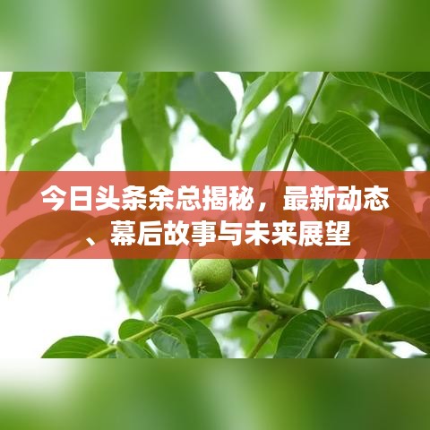 今日头条余总揭秘，最新动态、幕后故事与未来展望