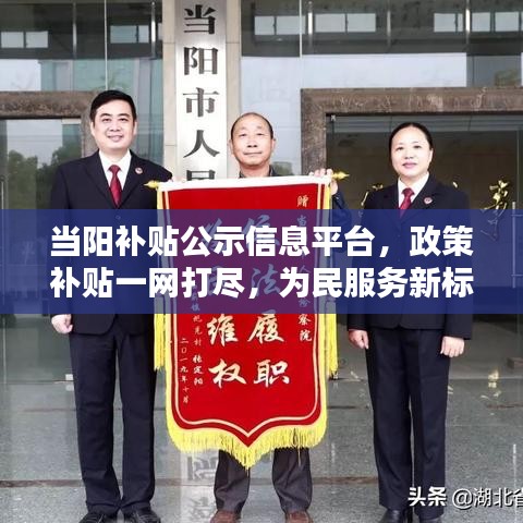 当阳补贴公示信息平台，政策补贴一网打尽，为民服务新标杆