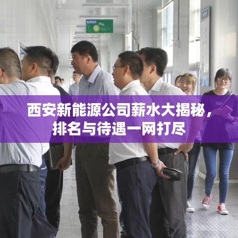 西安新能源公司薪水大揭秘，排名与待遇一网打尽