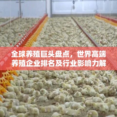 全球养殖巨头盘点,世界高端养殖企业排名及行业影响力解析