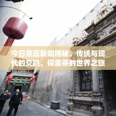 今日茶庄新闻揭秘，传统与现代的交融，探索茶的世界之旅