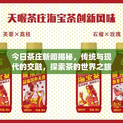 今日茶庄新闻揭秘,传统与现代的交融,探索茶的世界之旅