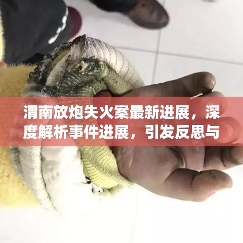 渭南放炮失火案最新进展，深度解析事件进展，引发反思与关注