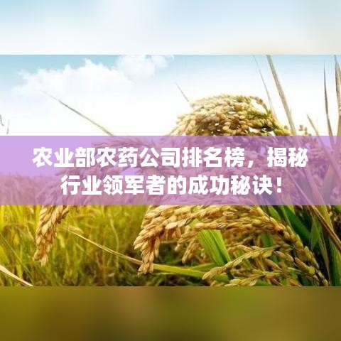 农业部农药公司排名榜，揭秘行业领军者的成功秘诀！