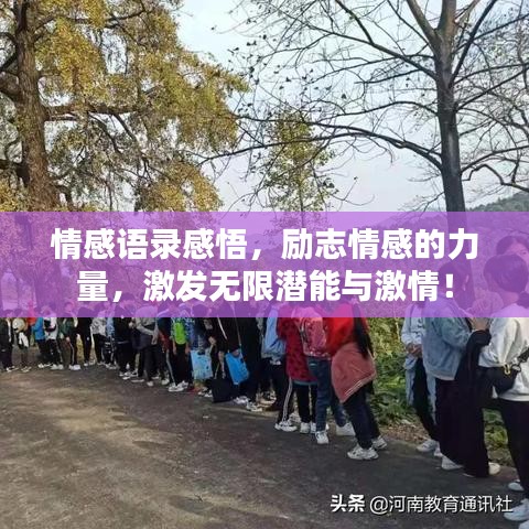情感语录感悟,励志情感的力量,激发无限潜能与激情!