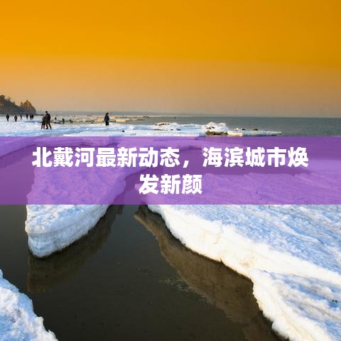 北戴河最新动态，海滨城市焕发新颜