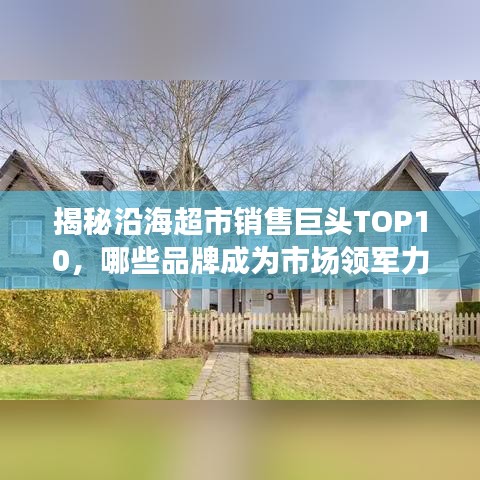 揭秘沿海超市销售巨头TOP10，哪些品牌成为市场领军力量？