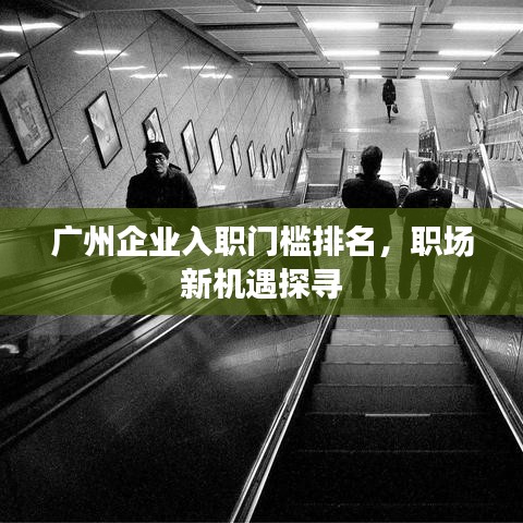 广州企业入职门槛排名，职场新机遇探寻