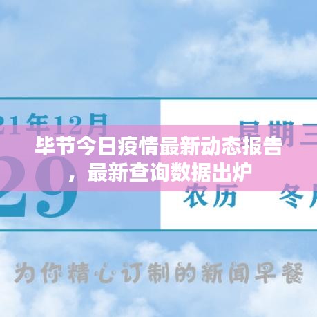 毕节今日疫情最新动态报告，最新查询数据出炉