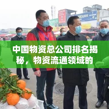 中国物资总公司排名揭秘，物资流通领域的领军者企业榜单揭晓！