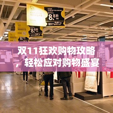 双11狂欢购物攻略,轻松应对购物盛宴,省钱省心秘籍大揭秘!