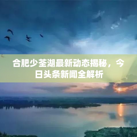 合肥少荃湖最新动态揭秘，今日头条新闻全解析