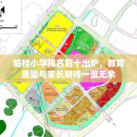 临桂小学排名前十出炉，教育质量与家长期待一览无余