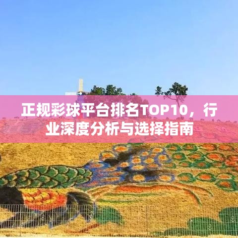 正规彩球平台排名TOP10，行业深度分析与选择指南