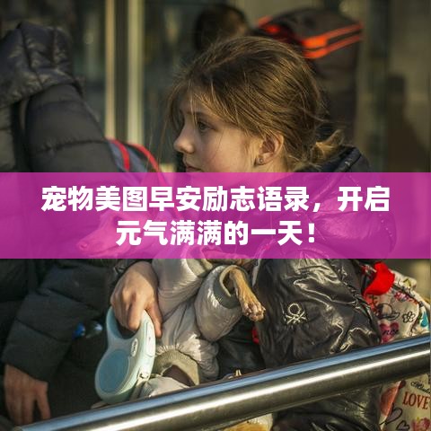 宠物美图早安励志语录，开启元气满满的一天！