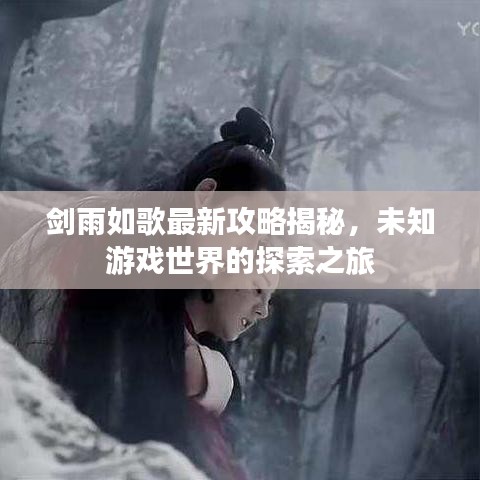 剑雨如歌最新攻略揭秘，未知游戏世界的探索之旅