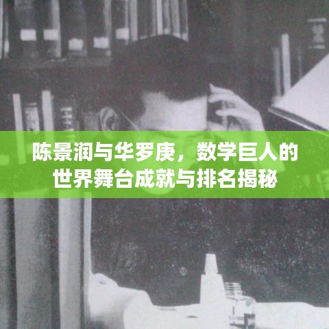 陈景润与华罗庚，数学巨人的世界舞台成就与排名揭秘