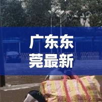 广东东莞最新天气预报,一键查询,天气信息尽在掌握!