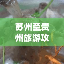 苏州至贵州旅游攻略大全,最新绝美路线全攻略