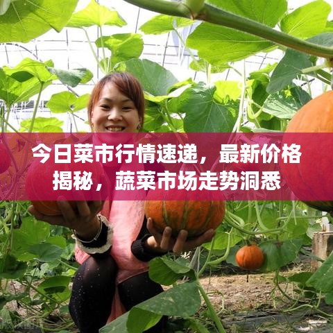 今日菜市行情速递,最新价格揭秘,蔬菜市场走势洞悉