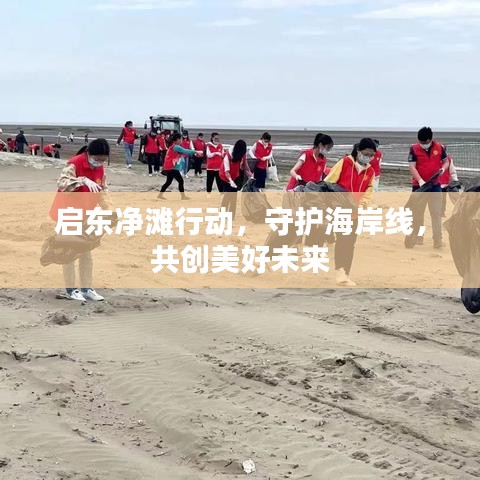 启东净滩行动，守护海岸线，共创美好未来