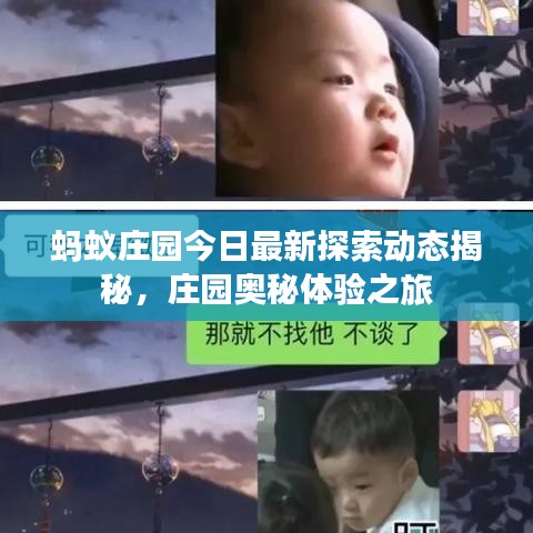 蚂蚁庄园今日最新探索动态揭秘，庄园奥秘体验之旅