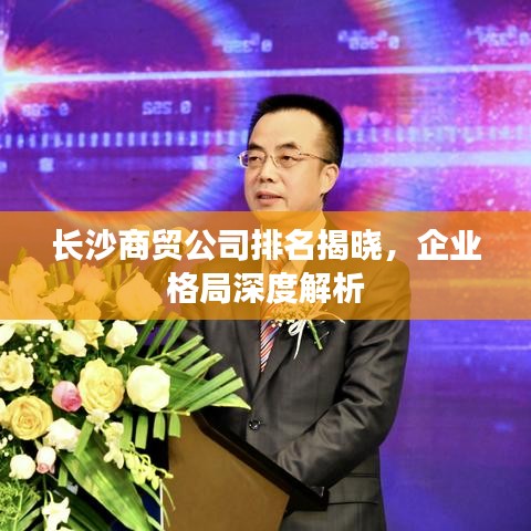 长沙商贸公司排名揭晓，企业格局深度解析
