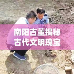 南阳古董揭秘古代文明瑰宝,头条新闻引领探寻之旅