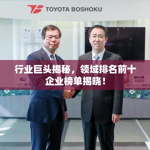 行业巨头揭秘，领域排名前十企业榜单揭晓！