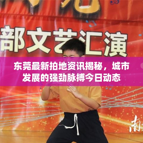 东莞最新拍地资讯揭秘,城市发展的强劲脉搏今日动态